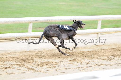 peterboro_135.JPG - (C)S.FARNDON