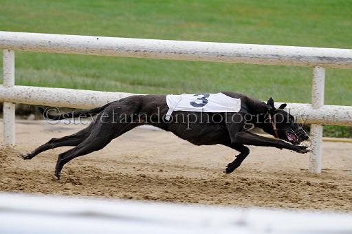 peterboro_139.JPG - (C)S.FARNDON