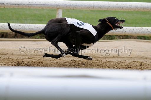 peterboro_140.JPG - (C)S.FARNDON