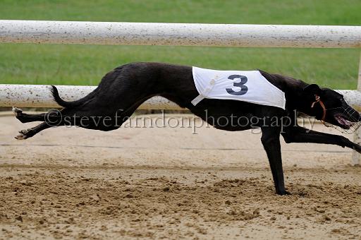 peterboro_143.JPG - (C)S.FARNDON
