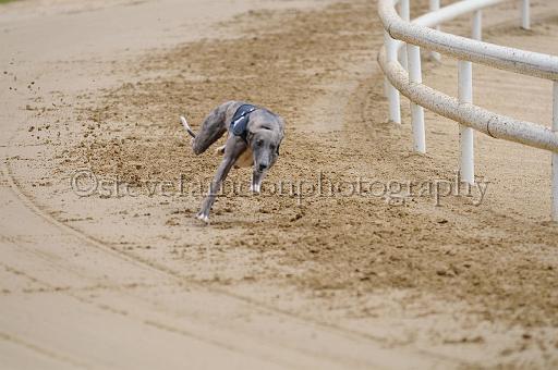 peterboro_144.JPG - (C)S.FARNDON