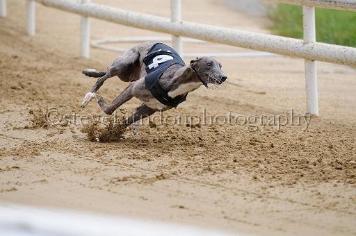 peterboro_145.JPG - (C)S.FARNDON