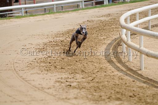 peterboro_146.JPG - (C)S.FARNDON