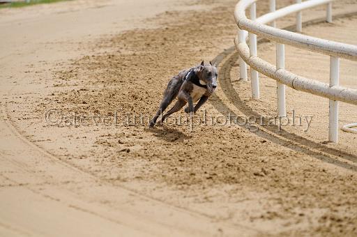 peterboro_147.JPG - (C)S.FARNDON