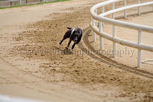 peterboro_149.JPG - (C)S.FARNDON