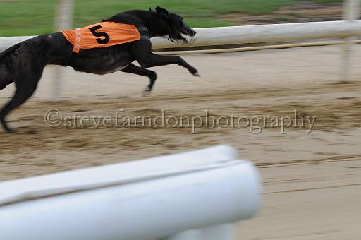 peterboro_204.JPG - (C)S.FARNDON