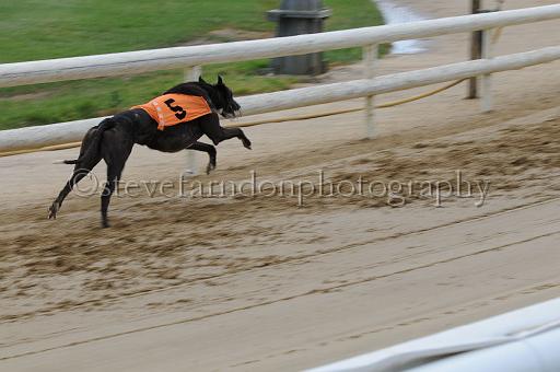peterboro_206.JPG - (C)S.FARNDON