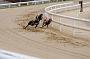 peterboro_104