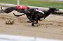 peterboro_106