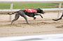 peterboro_107