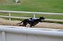 peterboro_112