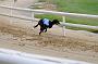 peterboro_115