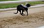 peterboro_128