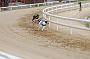peterboro_129