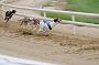 peterboro_130