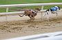 peterboro_132
