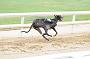 peterboro_135