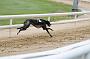 peterboro_136