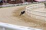peterboro_137