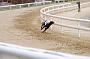 peterboro_138
