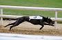 peterboro_139
