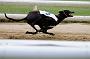 peterboro_140