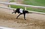 peterboro_142