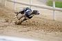 peterboro_145