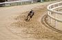 peterboro_146