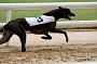 peterboro_152