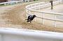peterboro_153