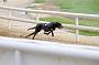 peterboro_155