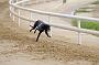peterboro_156