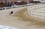 peterboro_159