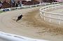 peterboro_160