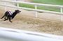 peterboro_163