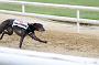 peterboro_164