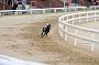 peterboro_166