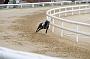 peterboro_167