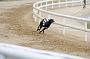 peterboro_168
