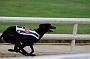 peterboro_169