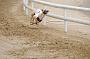 peterboro_172