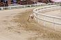 peterboro_173