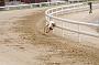peterboro_174