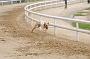 peterboro_175