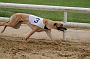 peterboro_177