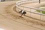 peterboro_181