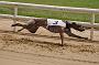 peterboro_183