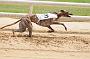 peterboro_184