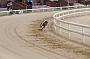 peterboro_187